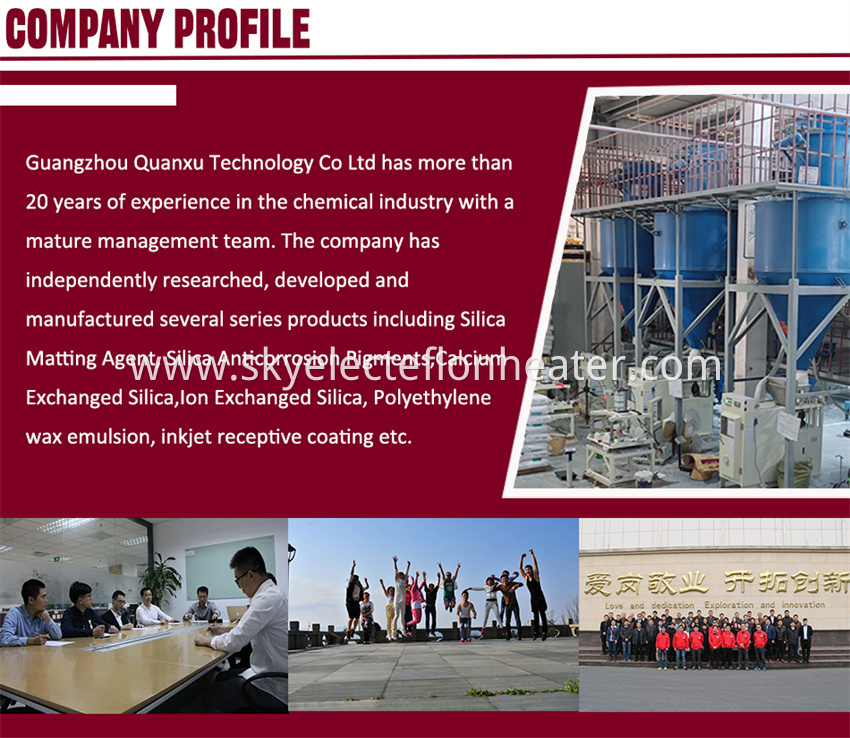 Company Profile